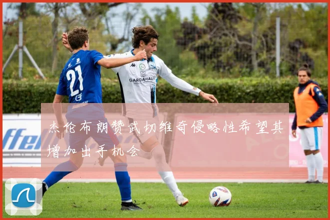 杰伦布朗赞武切维奇侵略性希望其增加出手机会